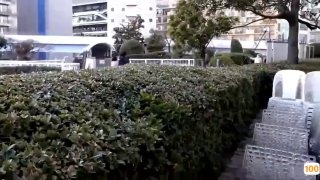 日韩欧美亚洲欧洲在线观看|黑人巨大精品歐美一區二區免費|无码🐓